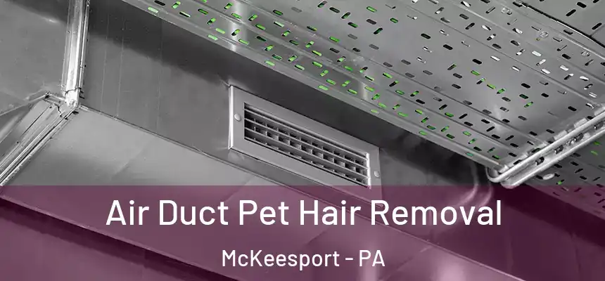 Air Duct Pet Hair Removal McKeesport - PA