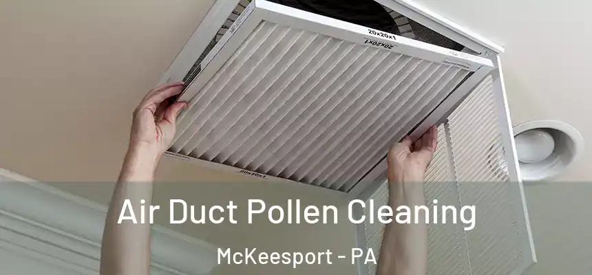  Air Duct Pollen Cleaning McKeesport - PA
