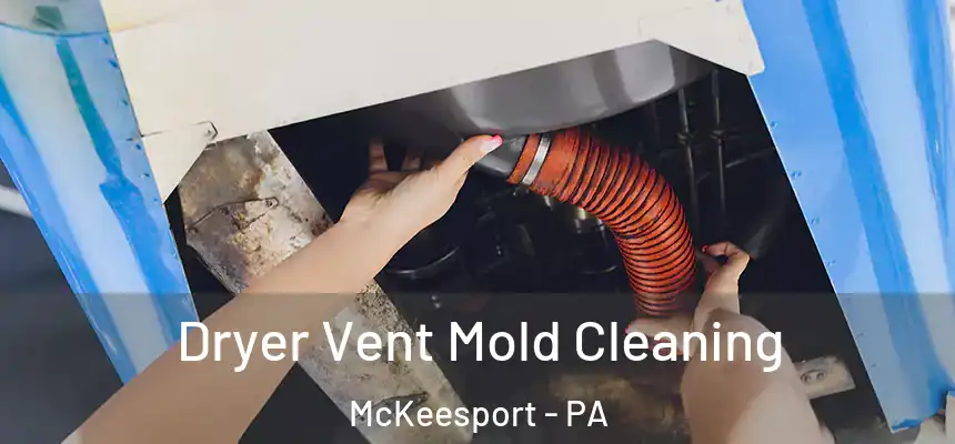 Dryer Vent Mold Cleaning McKeesport - PA