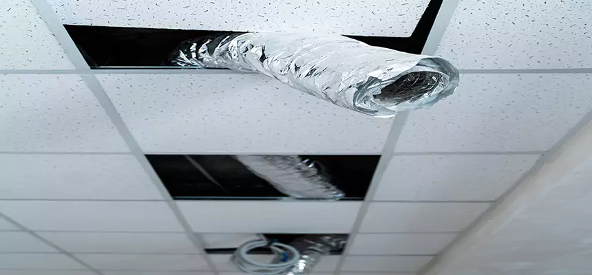 Our Air Duct Pet Hair Removal Services in McKeesport, PA