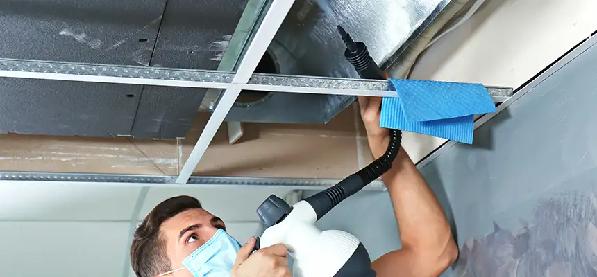 Our Air Duct Rodent Removal Services in McKeesport, PA