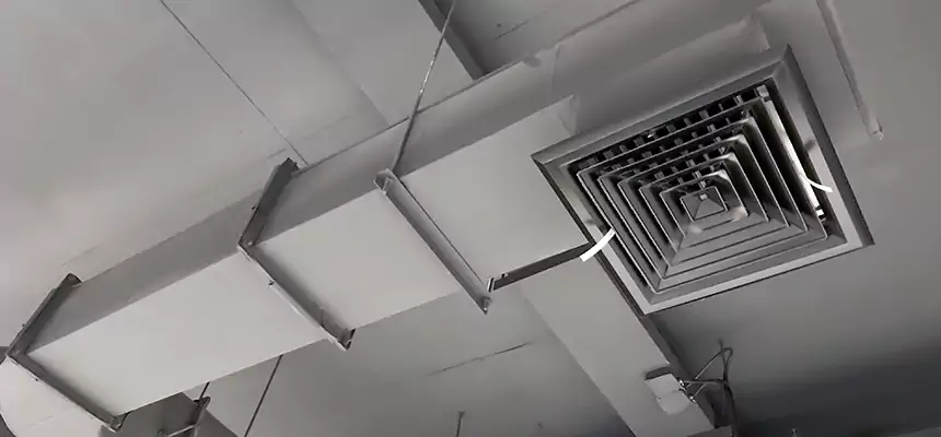 Our Pest Removal From Ducts Services in McKeesport, PA