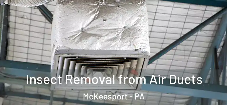 Insect Removal from Air Ducts McKeesport - PA