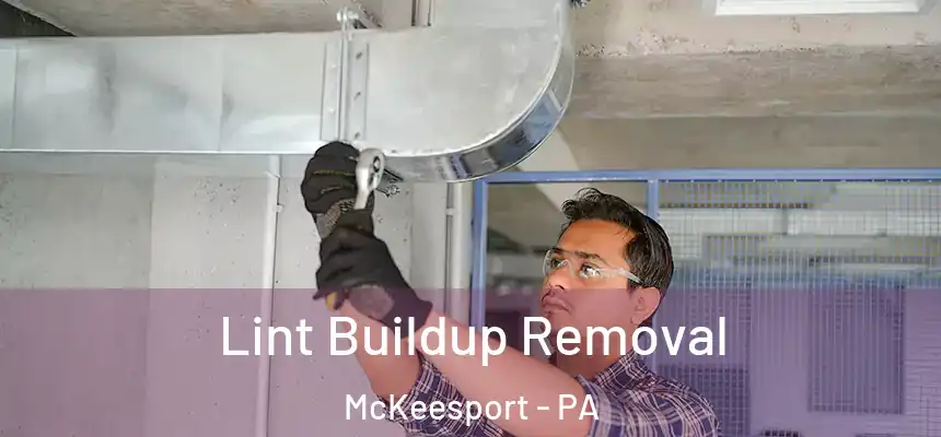  Lint Buildup Removal McKeesport - PA