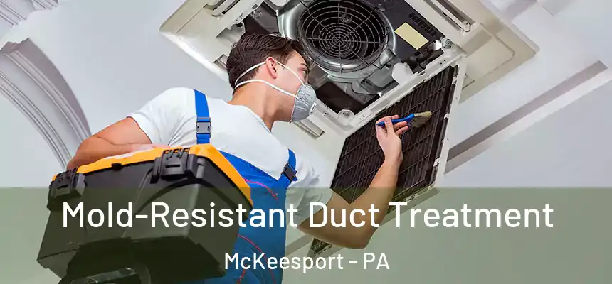  Mold-Resistant Duct Treatment McKeesport - PA