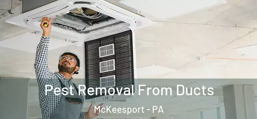  Pest Removal From Ducts McKeesport - PA