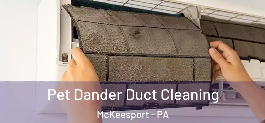 Pet Dander Duct Cleaning McKeesport - PA