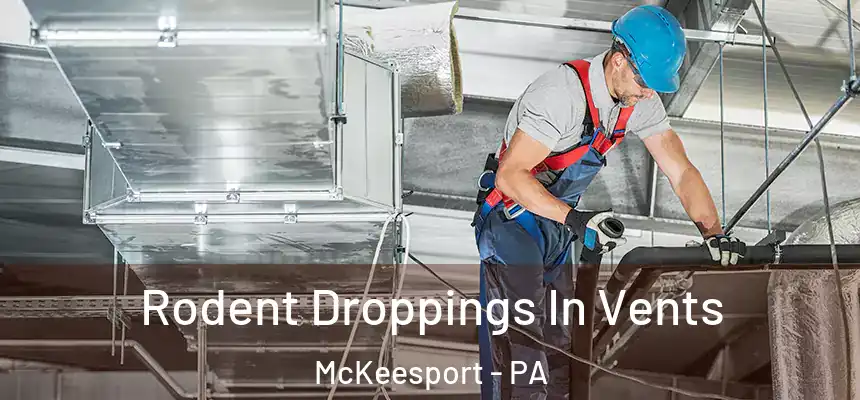  Rodent Droppings In Vents McKeesport - PA