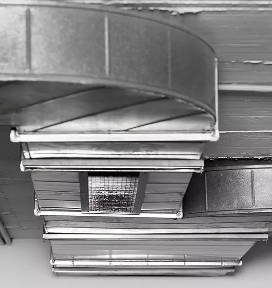 Professional Air Duct Pest Removal in McKeesport, PA