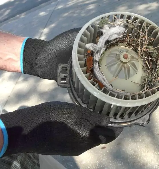 About Air Duct Rat Removal in McKeesport, PA