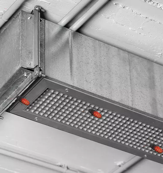 Affordable Insect Removal from Air Ducts in McKeesport, PA